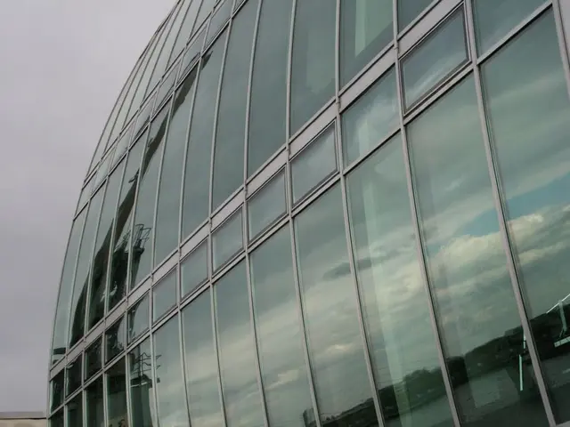 Understanding Financial Vulnerability: Definition, Operation, and Risk Reduction Strategies