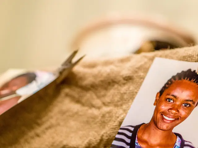 Truncated transparency collapses, mirroring the fallen tree trunk