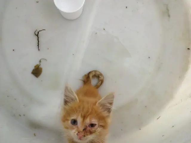 Selecting an Appropriate Steam Jacketed Kettle for Your Beverage Production