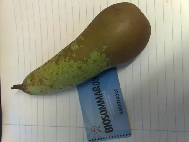 Strategies for Securing Your Accounts from Unauthorized Access