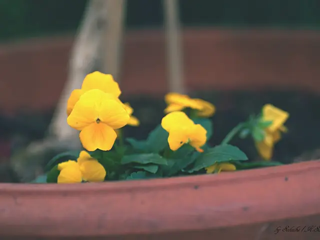 Electroporation Explained: A Process that Temporarily Opens Cell Membranes via Electric Fields