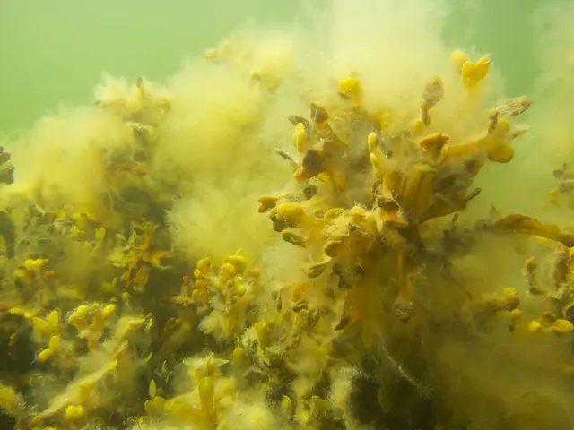 Large sum of €20 million pledged for Emerald's Water Conservation Effort