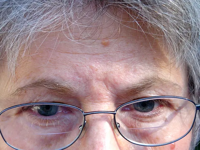 Assessment of COYLAPY Magnifying Glasses