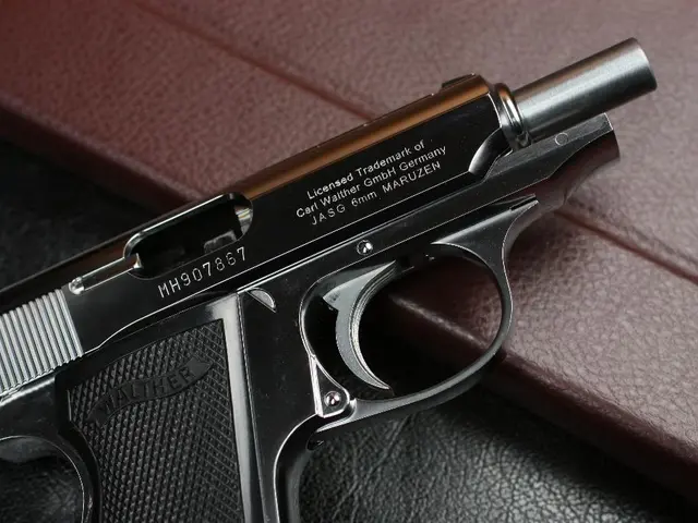 Assessment: Firearm Taurus GX2