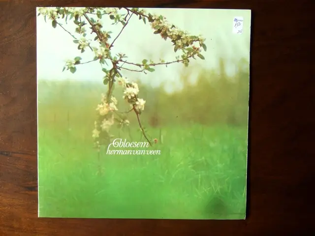 Update on NVIDIA's RTX Remix: Innovative Path-Traced Particle System Unveiled