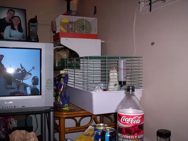 Increase in IPTV Services in France: Essential Information