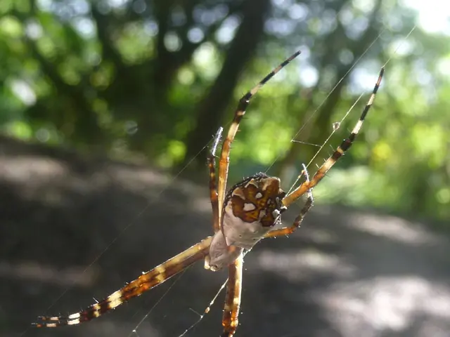 Streamlining Operations Through Centralization: The New Trend