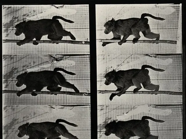 Revolutionary Innovations in Technology Spurred by Nature's Animal Adaptations