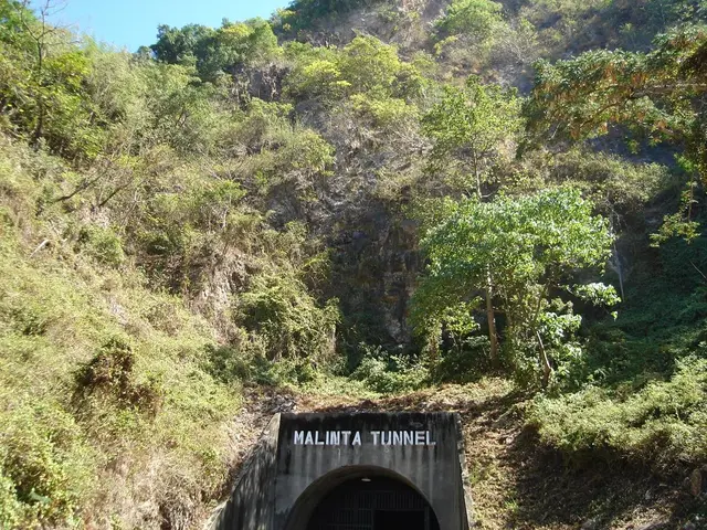 Thousands of years old tunnels, initially thought to be human-made, have been proven to be the work...