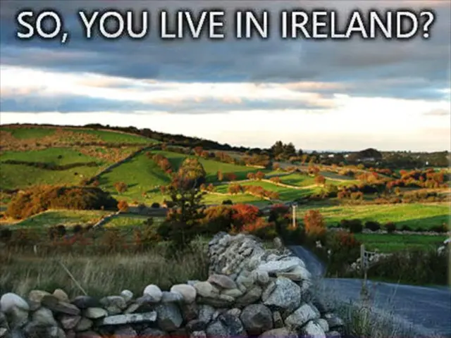 Aerial wildfire identification soars high