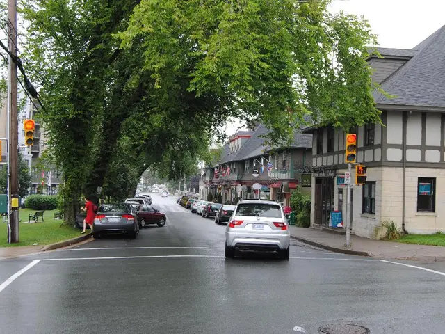 In this image we can see buildings, traffic lights, grass, plants, creepers, trees, bushes,...