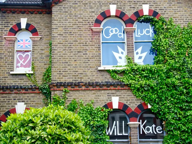 We can see green leaves,building,windows,on these windows we can see flag,poster and some text.