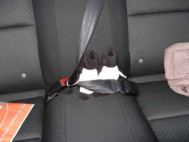 This picture show a vehicle's back seat and we see couple of soft toys and a bag and a paper bag on...
