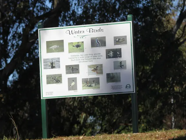 In the picture I can see board on which we there are some bird images along with the text, behind...