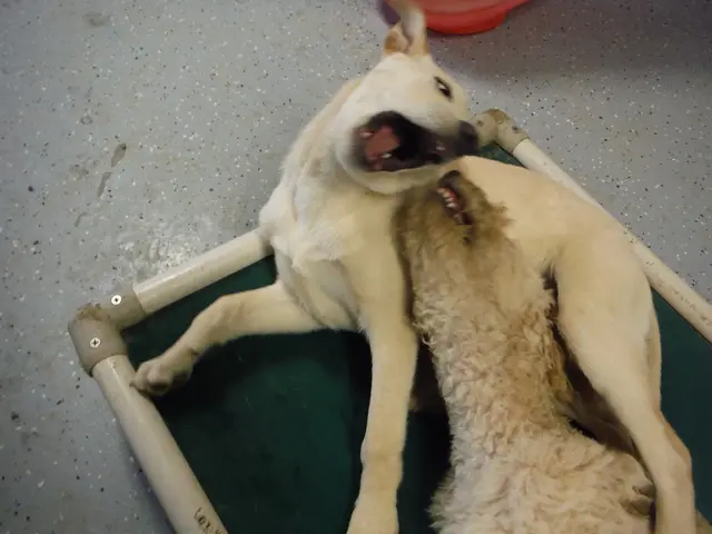 There is a dog opened its mouth and there is another animal beside it.