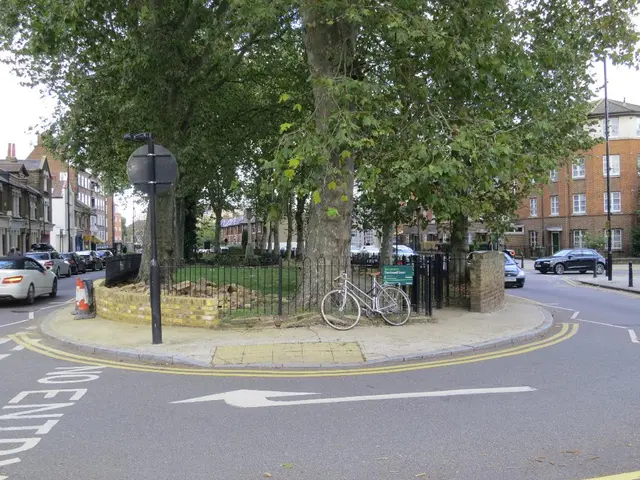 In this image there are vehicles, bicycle, plants, iron grills, poles, buildings, trees, grass,...