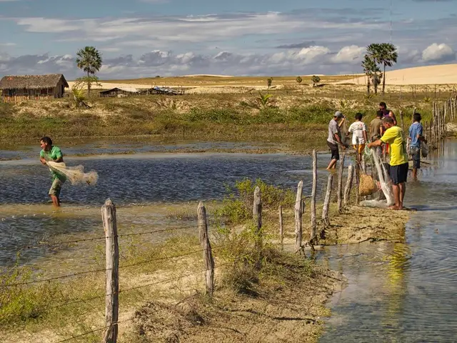This image consists of many people standing and walking in the water. They are catching fishes. In...
