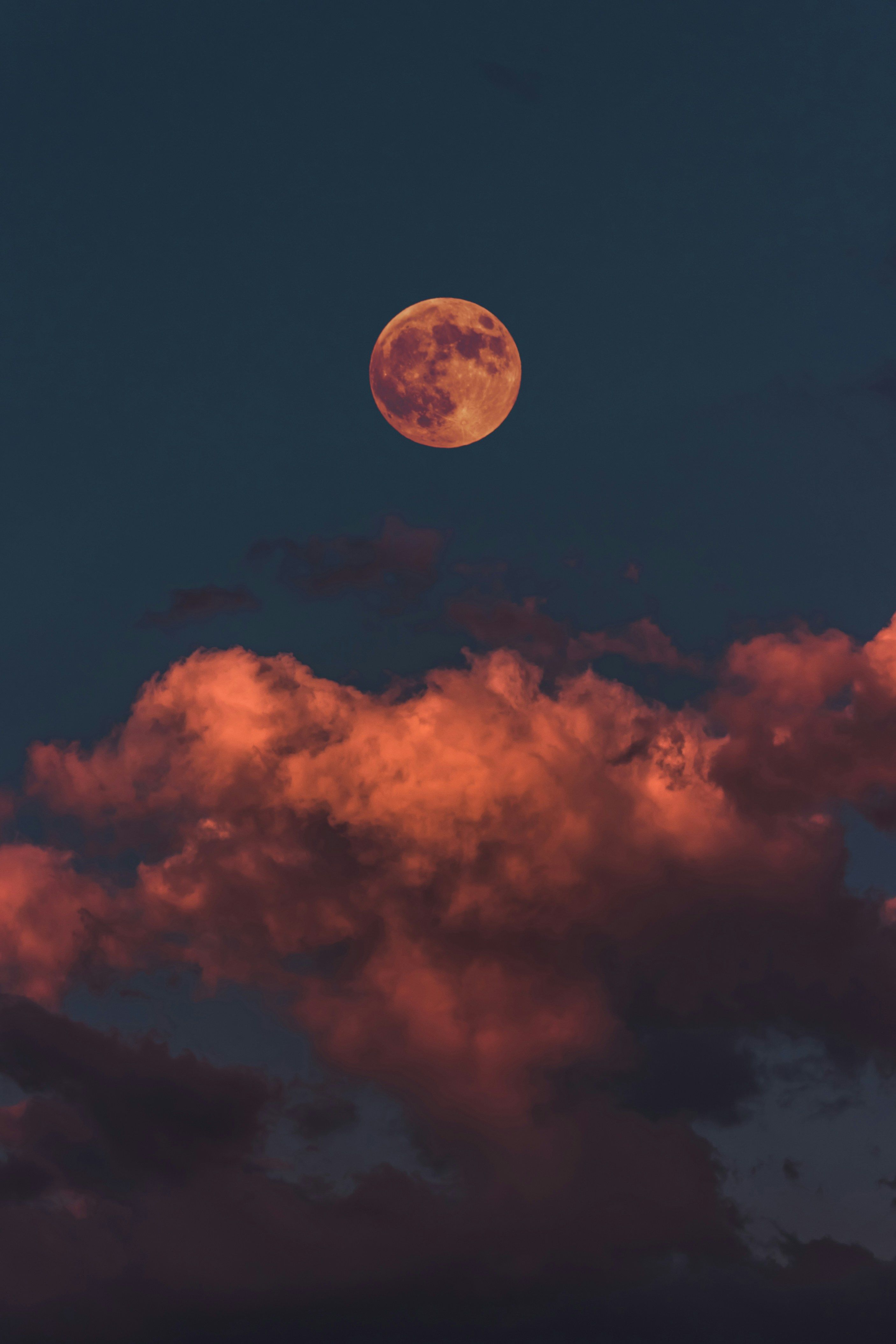 Ripple's proposition of $5 billion for Circle was reportedly turned down as deemed insufficient. What could be the future pricing trajectory for the altcoin?