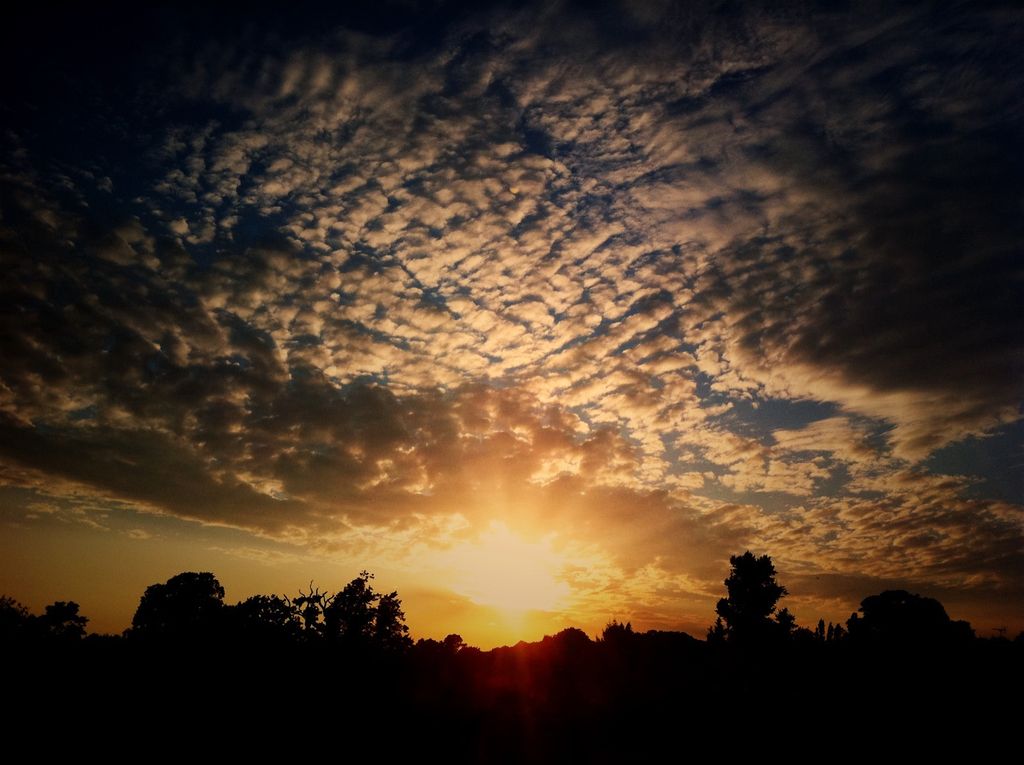 Daily Wordle Hints (Solution) for June 3, 2025